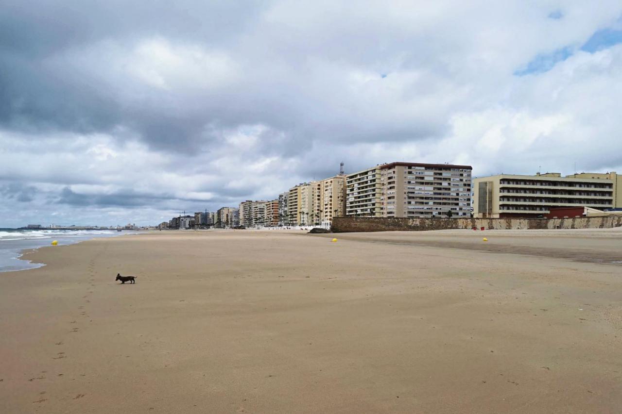 Romantica Vista Al Paseo Maritimo De Cádiz Exterior foto